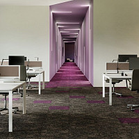 Contour Коллекция Perspective Perspective 848 фото 3 | FLOORDEALER